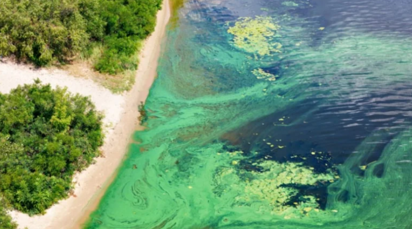 Küresel Kıyı Şeridinde Su Kaynakları Alarm Veriyor: Milyarlarca Kişi Risk Altında (KARDEŞ HABER)