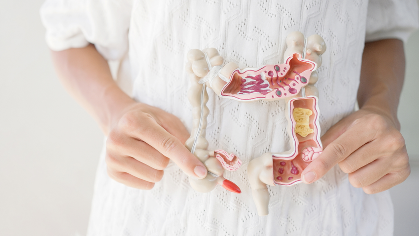 Araştırmalar, bağırsak bakterilerinin Parkinson’un habercisi olabileceğini gösteriyor