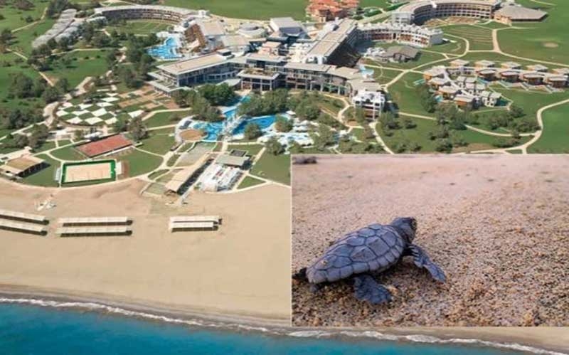 Antalya’daki 4 otel “Kaplumbağa Dostu” sertifikasıyla ödüllendirildi